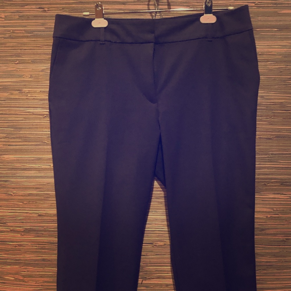 Ann Taylor modern fit pants